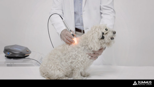 Laser therapy