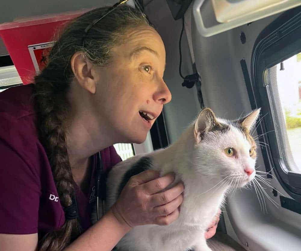 Veterinary technician with cat looking out a window.