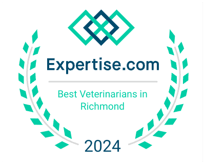 Top Veterinarian in Richmond