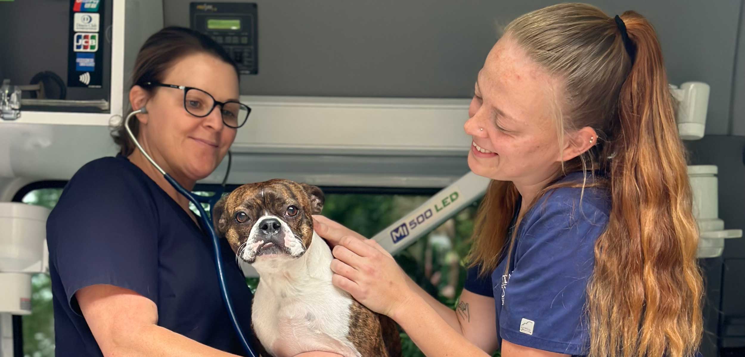 Our team treating a dog in our mobile vehicle