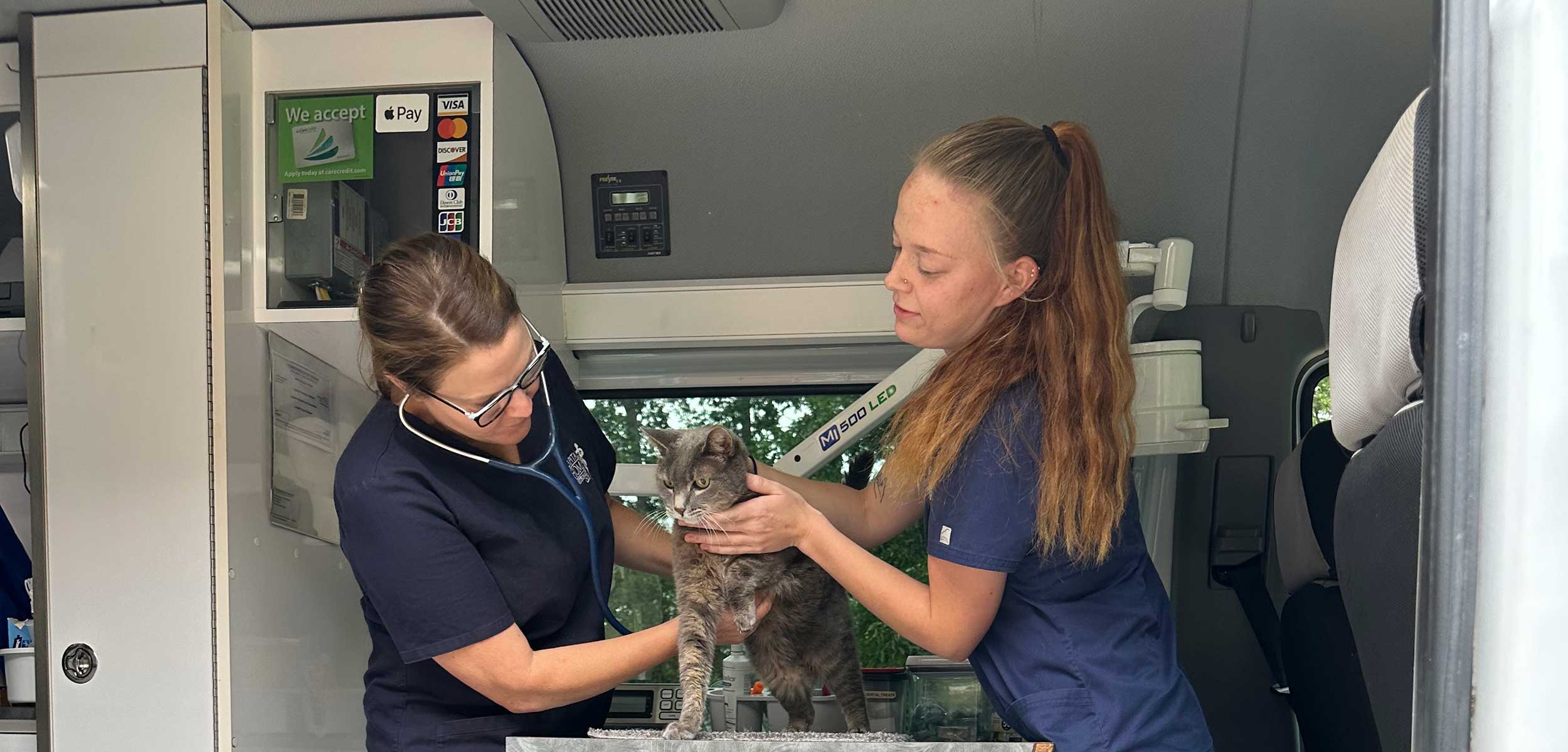 Our team treating a cat in our mobile clinic