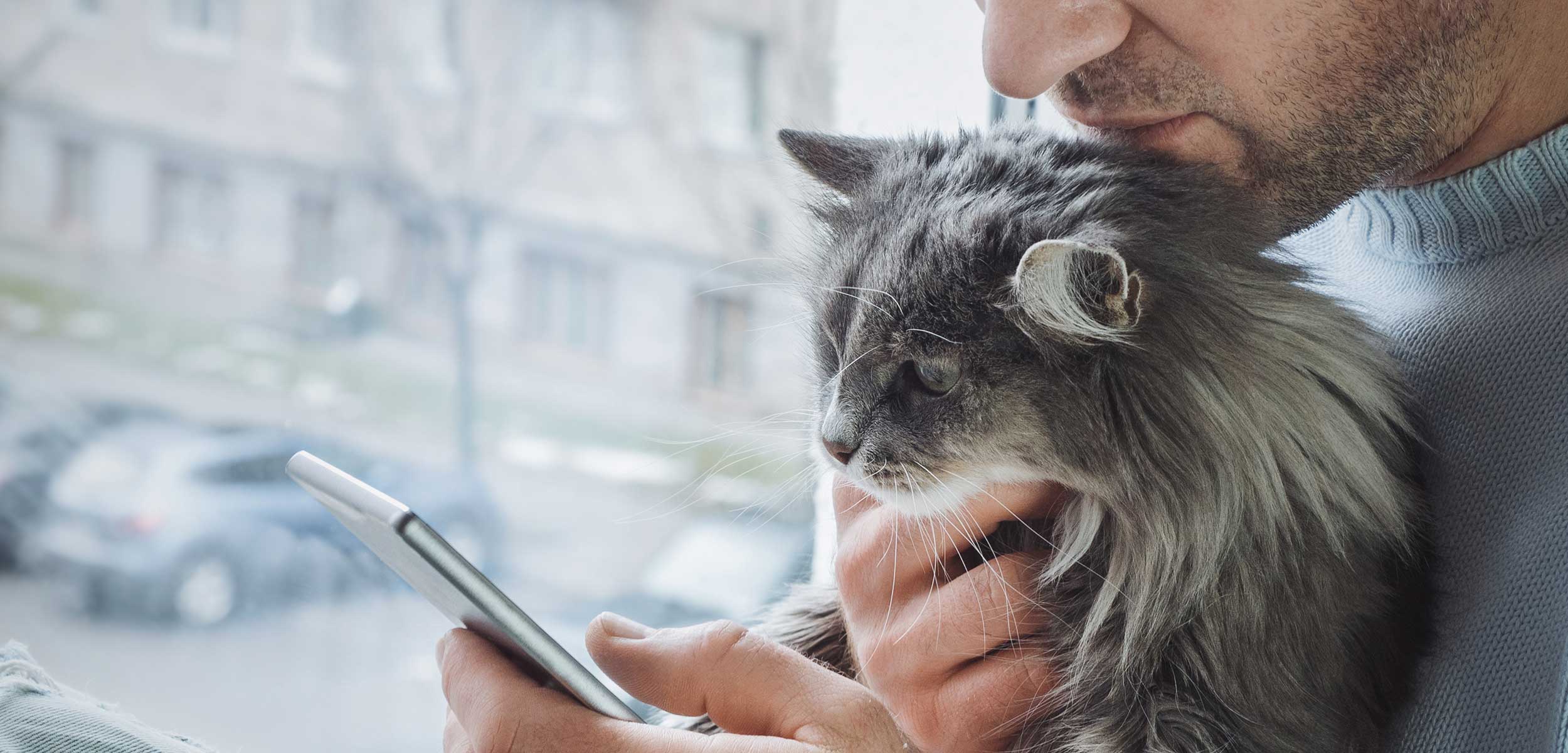 A man on the phone with his cat