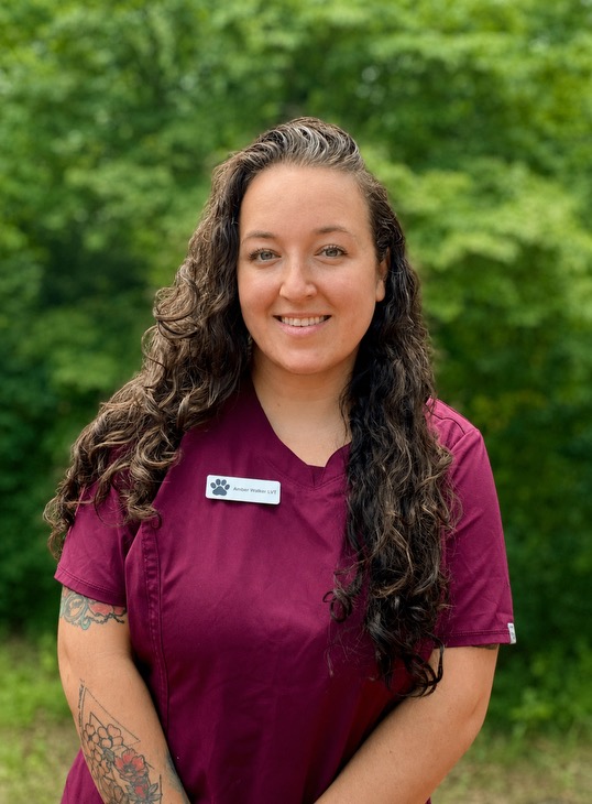Amber , LVT, Licensed Veterinary Technician Amber , LVT, Licensed Veterinary Technician